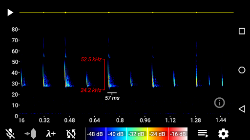 BatRecorder